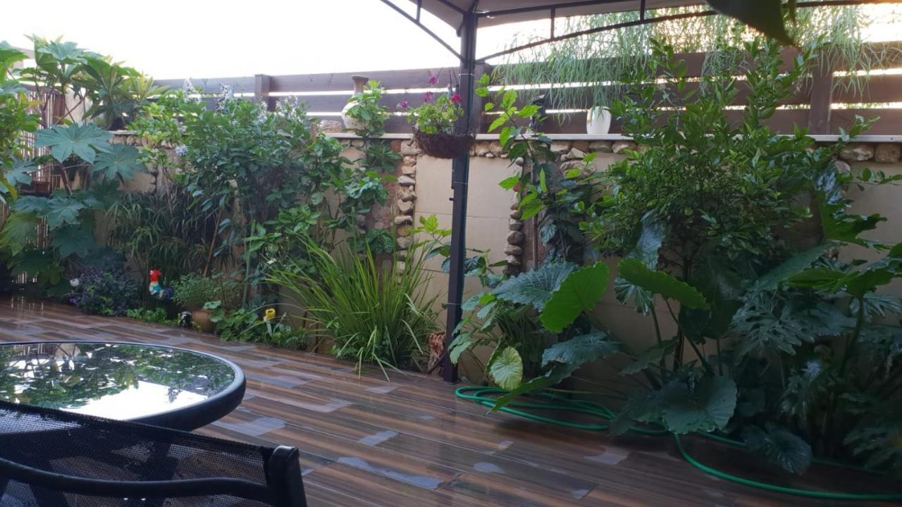 Apartament Amazing Hajfa Zewnętrze zdjęcie