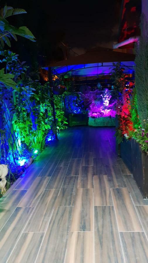 Apartament Amazing Hajfa Zewnętrze zdjęcie