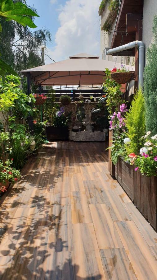 Apartament Amazing Hajfa Zewnętrze zdjęcie