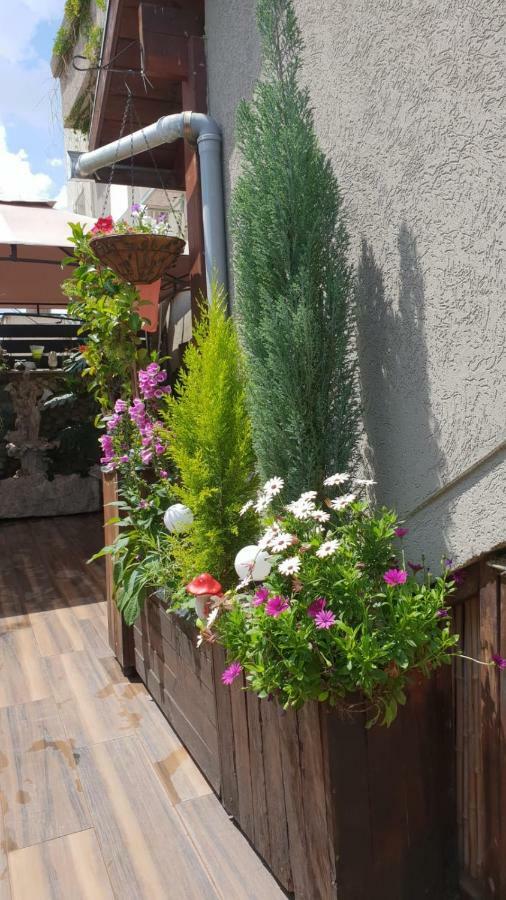 Apartament Amazing Hajfa Zewnętrze zdjęcie